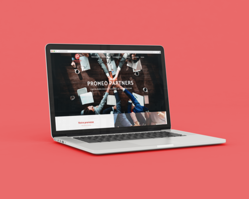 Image de la présentation du site PROMEO PARTNERS -PLANET Bourgogne