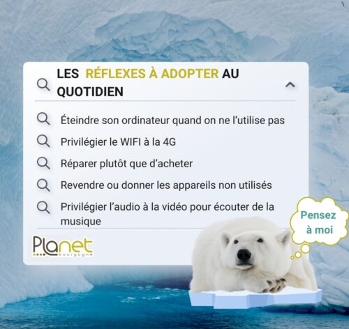 Image de la journée internationale de l'ours polaire - les réflexes à adopter au quotidien - PLANET B