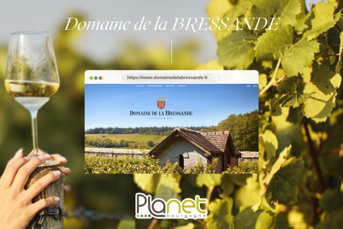 Domaine de la BRESSANDE – BOISSET, la famille des Grands Vins – PLANET B Image du domaine de la BRESSANDE - BOISSET, la famille des Grands Vins - PLANET B