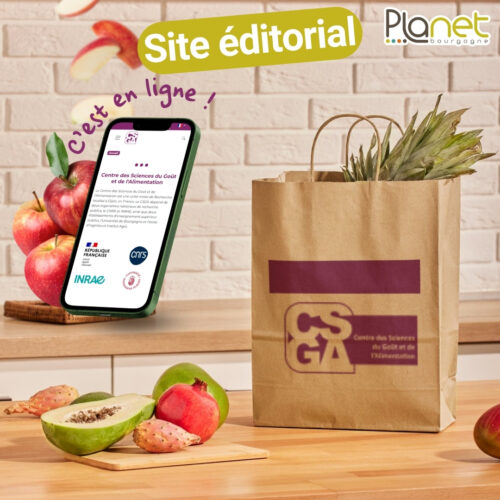 Image du nouveau site éditorial sur-mesure - INRAE - entre des Sciences du Goût et de l’Alimentation - PLANET B - PLANET Bourgogne