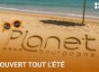Image de summer PLANET - PLANET ouvert tout l'été - PLANET B - PLANET Bourgogne