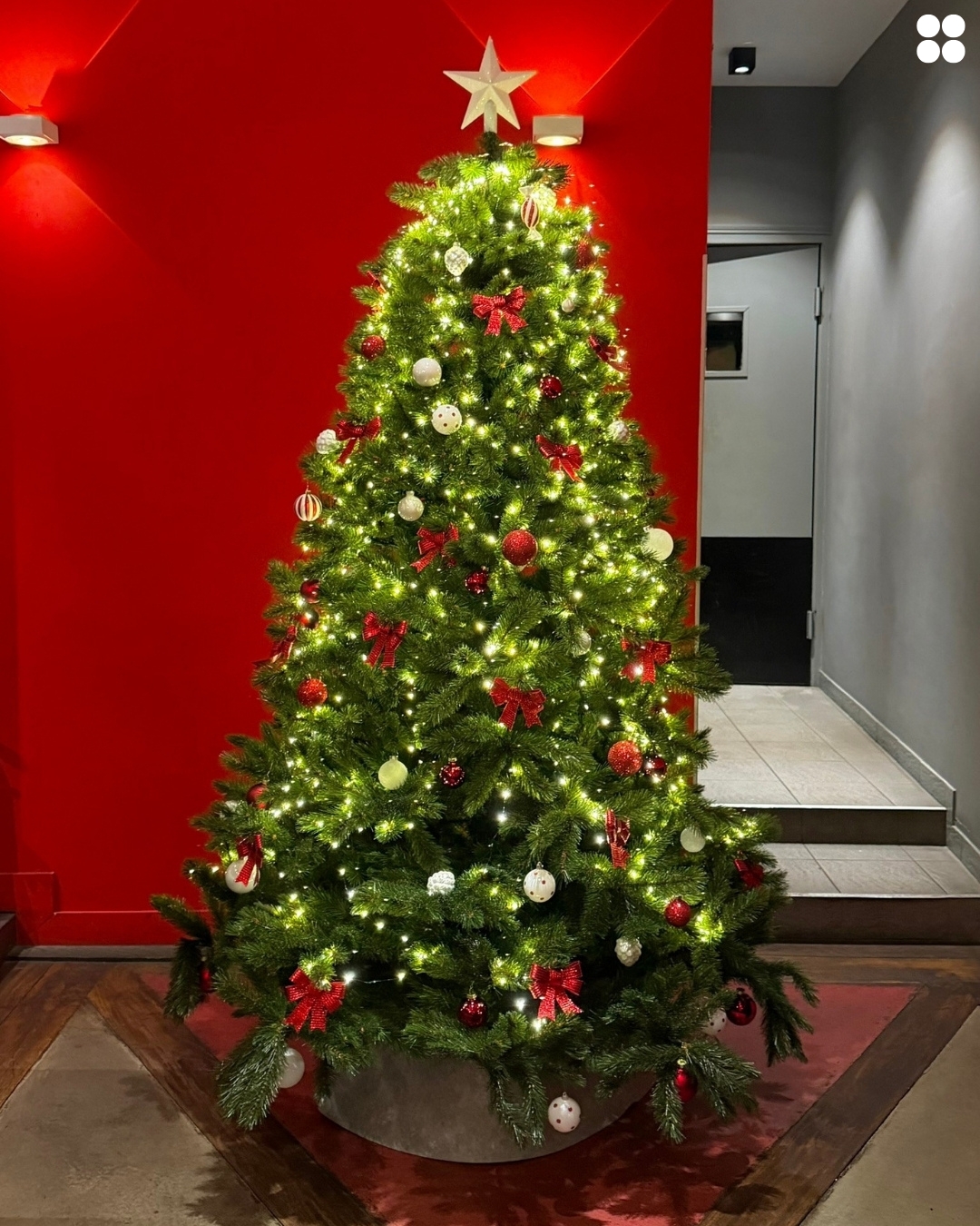 Image de la cohésion de PLANET Bourgogne - La team PLANETB - PLANETB - PLANETBourgogne