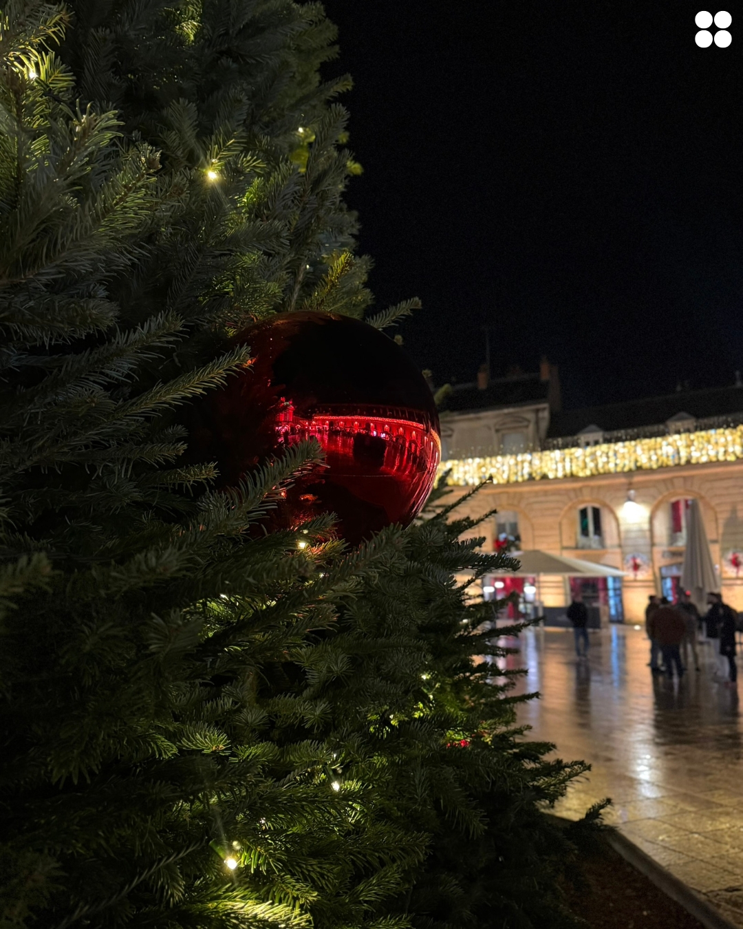 Image de la cohésion de PLANET Bourgogne - La team PLANETB - PLANETB - PLANETBourgogne